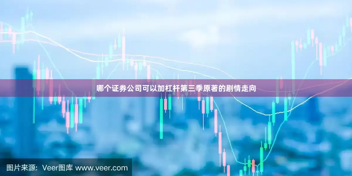 哪个证券公司可以加杠杆第三季原著的剧情走向