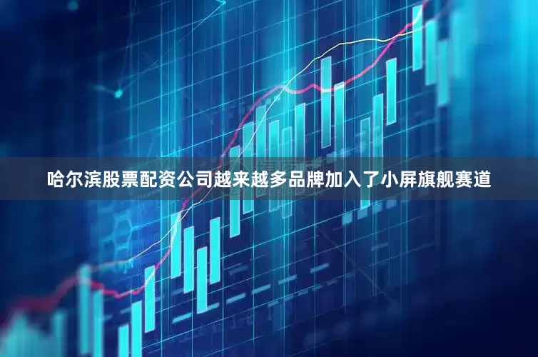 哈尔滨股票配资公司越来越多品牌加入了小屏旗舰赛道